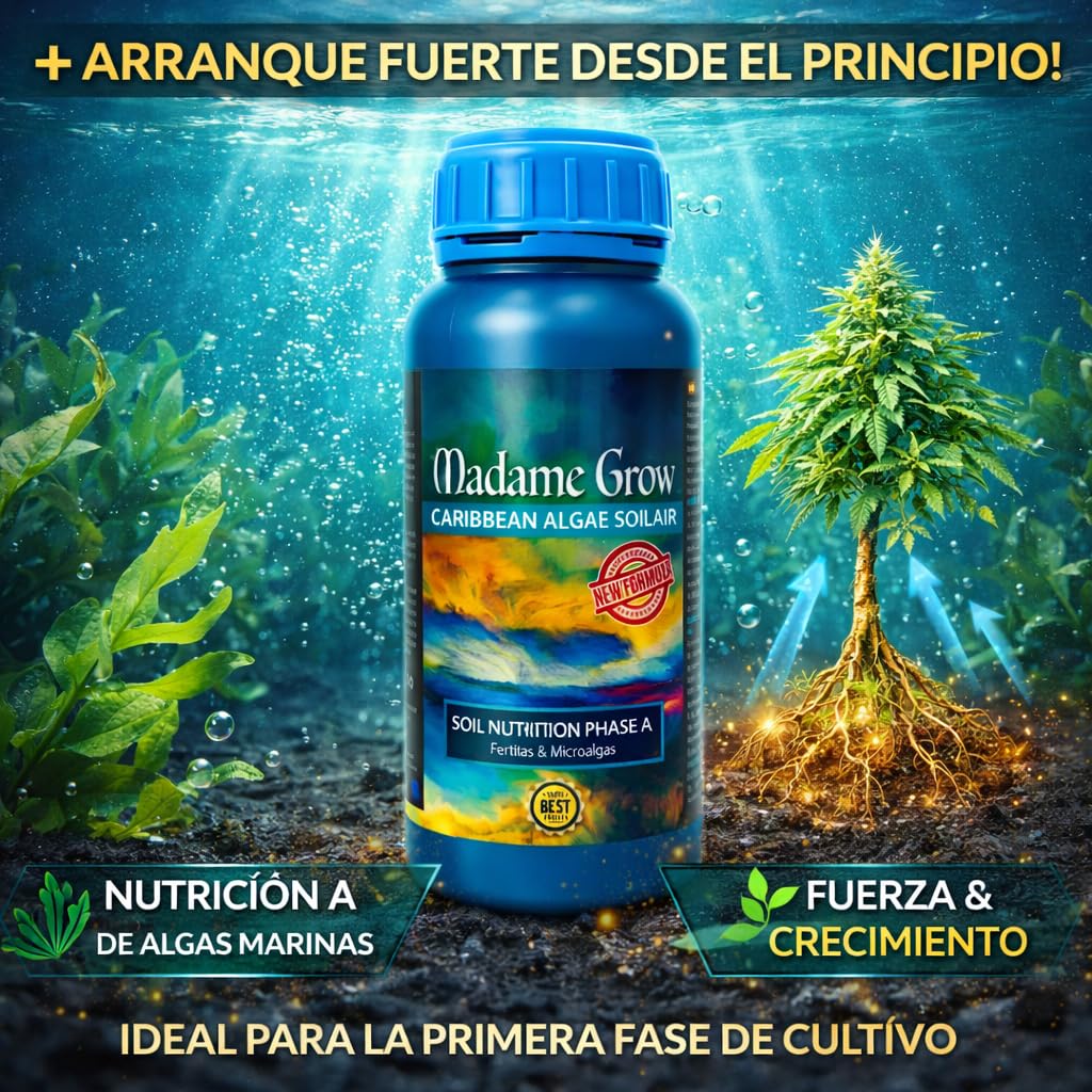 MADAME GROW Algendünger - Dünger - Pflanzennährstoffe 420 - Karibische Algen -platzen lassen - Cannabis - Dünger - Blüte - Cannabis - Blütenförderer - Flüssig - anreichern (CARIBBEAN ALGAE 500ml)