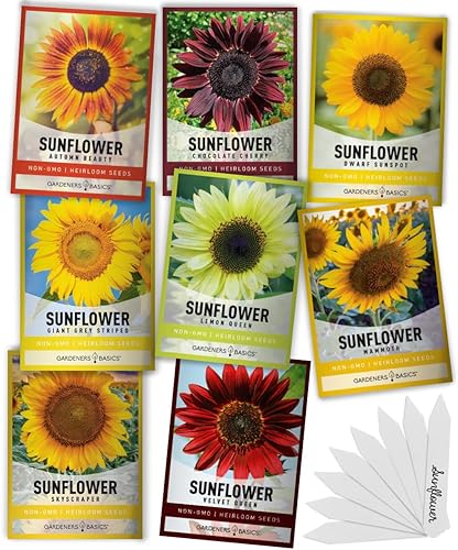 Gardeners Basics Semillas de girasol para plantar flores, terciopelo Queen, rascacielos, reina limón, gigante, belleza otoñal, cereza de chocolate,