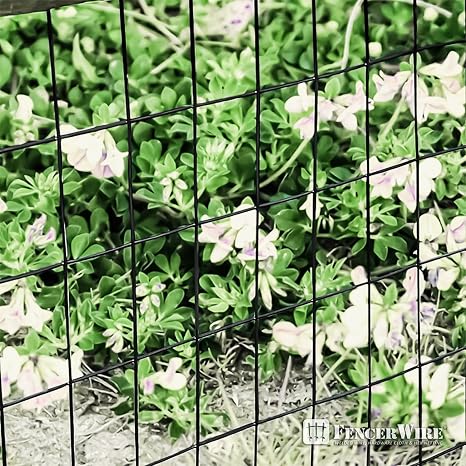 Fencer Wire 16 Gauge Green Vinyl Coated Welded Wire Mesh Size 2 inch X 3 inch, Black, 2x25 ft