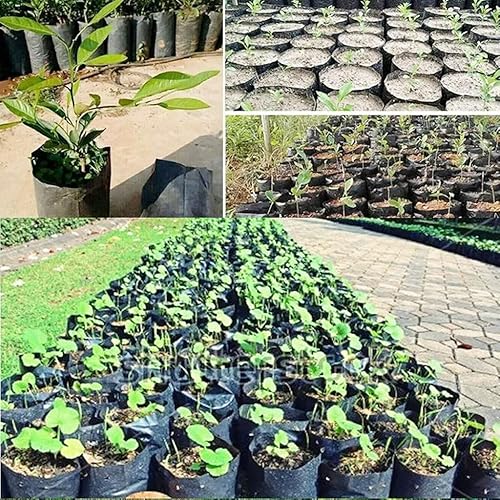 Miniatura 5 de WYNLBZQ 100 bolsas de polietileno para viveros y plantas gruesas, ecológicas, para jardín con agujeros transpirables, bolsa de plantación negra