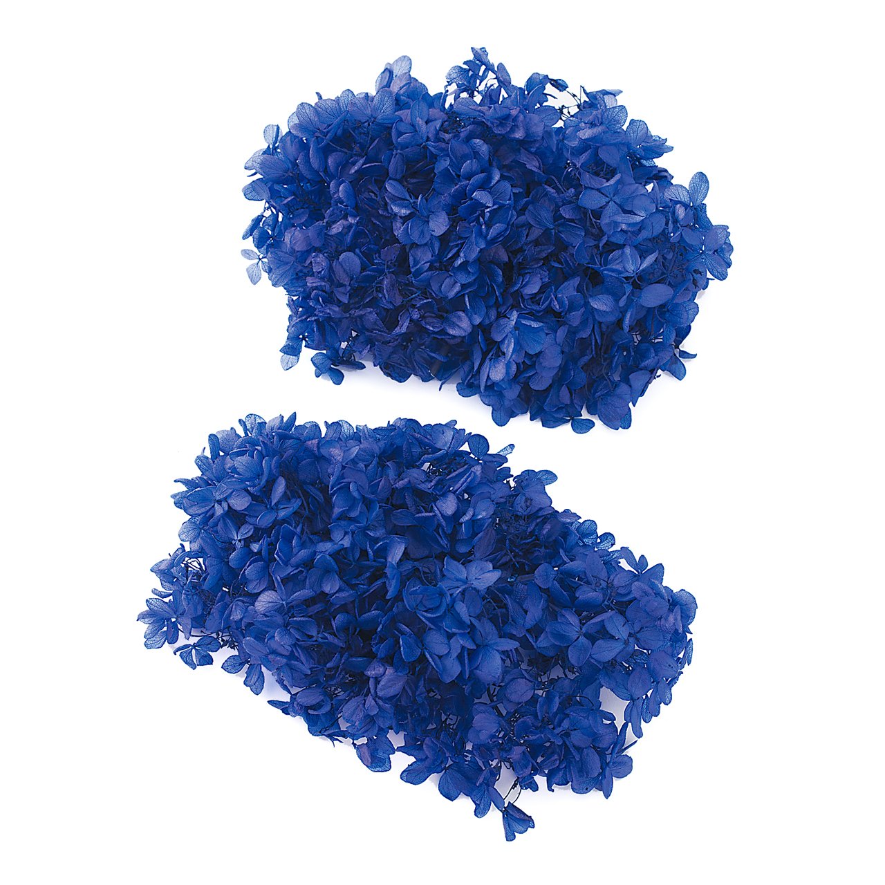 Amazon｜大地農園 日本製 プリザーブドフラワー ソフトピラミッド