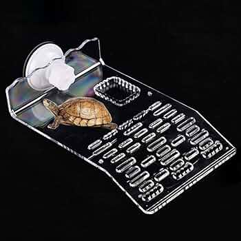 Amazon | PAVIKE亀の浮島 【約19*12cm】亀 陸地 吸盤 カメの