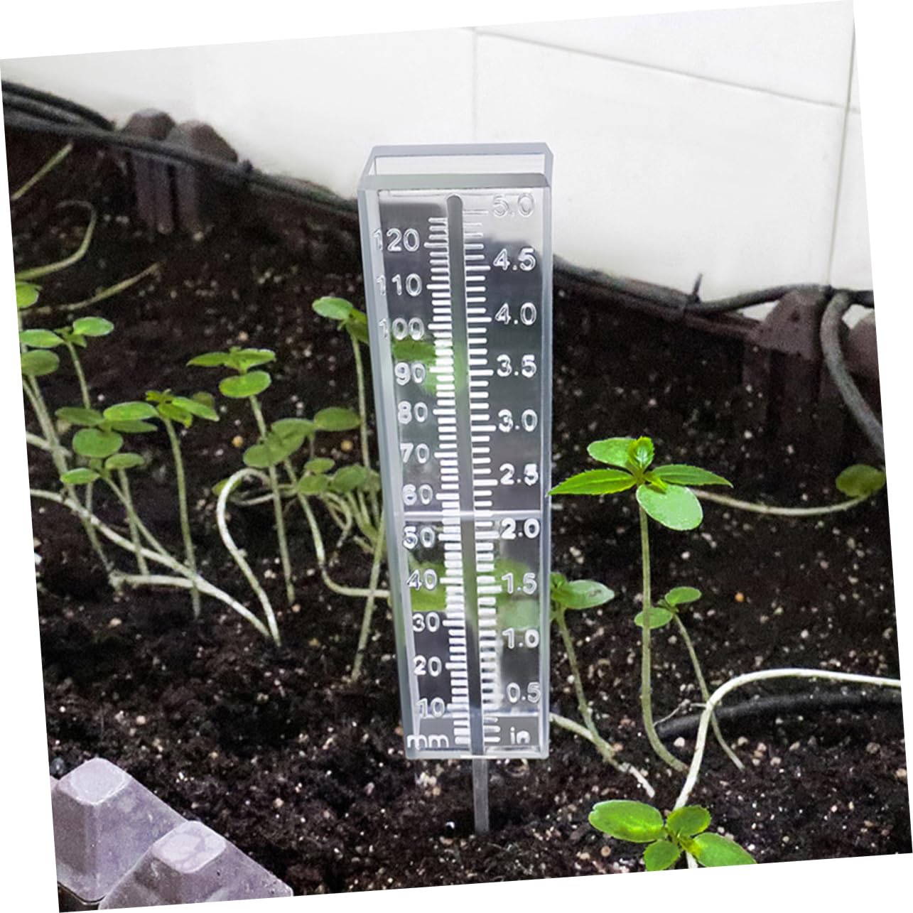 Yardwe 6stücke Kunststoff Regenmesser Transparente Niederschlagsmessung Für Garten Wetterfestes Design Einfache Installation Gartenwerkzeug Zur Genauen Erfassung Von Regenmengen