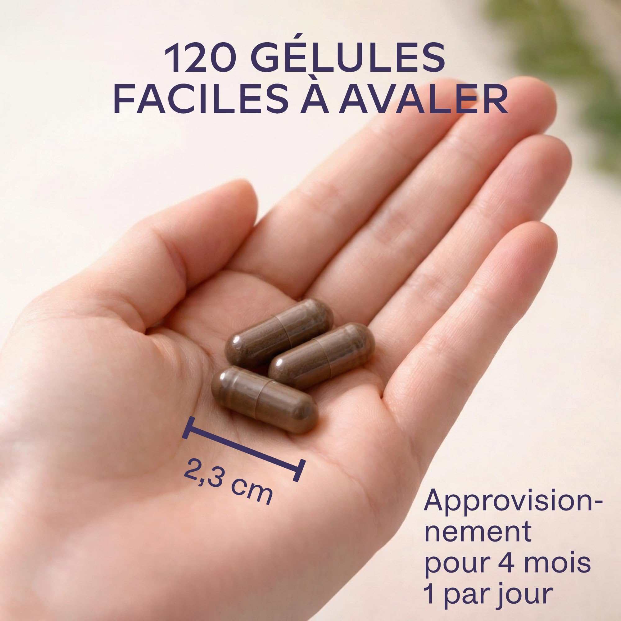 Lions Mane 18000mg 30:1 avec Cordyceps Sinensis, Reishi Ganoderma et Zinc | Criniere de Lion Champignon Hericium Erinaceus Nootropique Puissant Memoire et Concentration Mushroom Complex - 120 Gelules