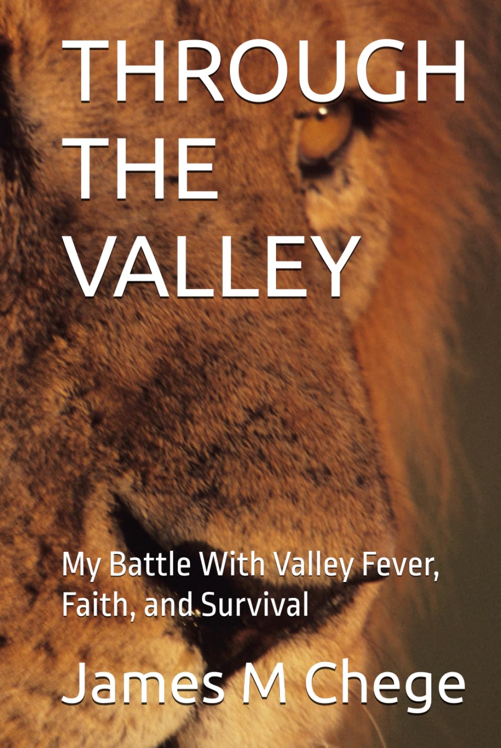 THROUGH THE VALLEY: My Battle With Valley Fever, Faith, and Survival