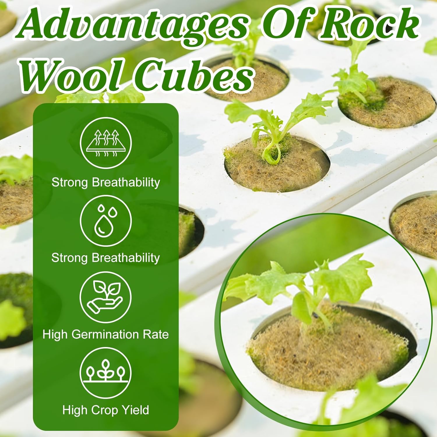 252 Pieces Rockwool Cubes for Hydroponics 1.5'' Rock Wool Planting Cubes Rockwool Starter Plugs Blocks with 20 Plant Name Tags for Soilless Cultivation, Seedlings Cuttings Plant Supplies