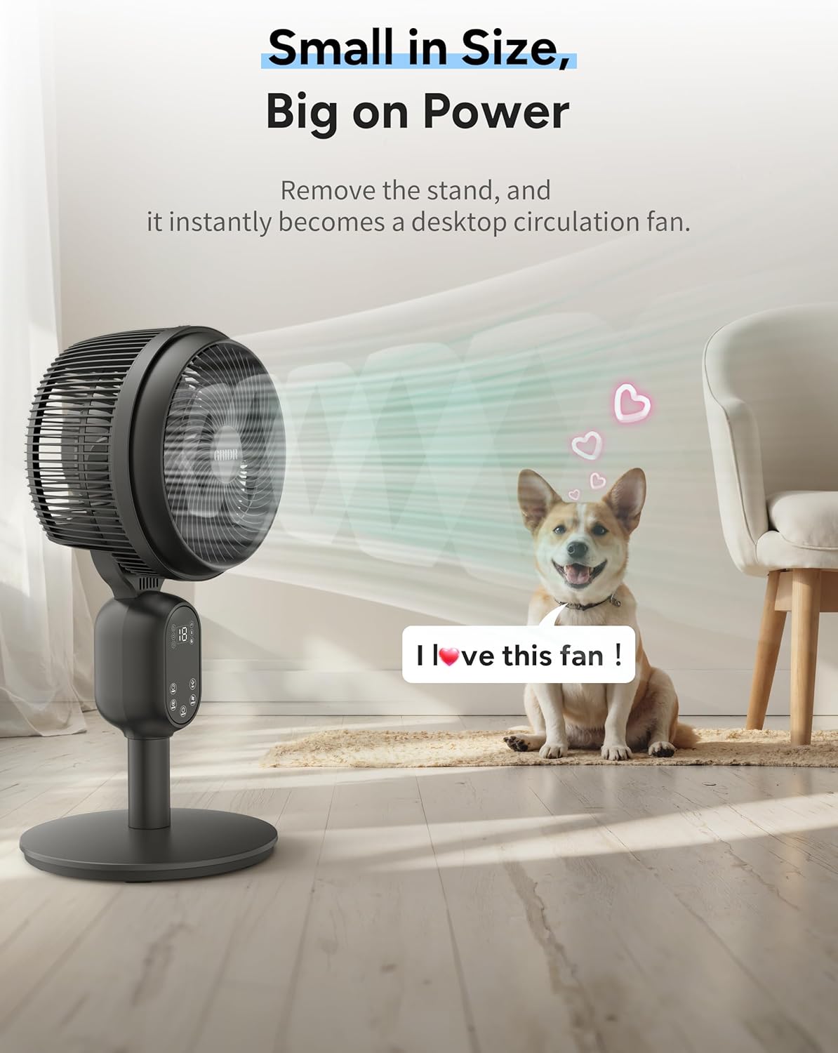 https://m.media-amazon.com/images/I/71V2Jh5X6vL._AC_SL1500_.jpg