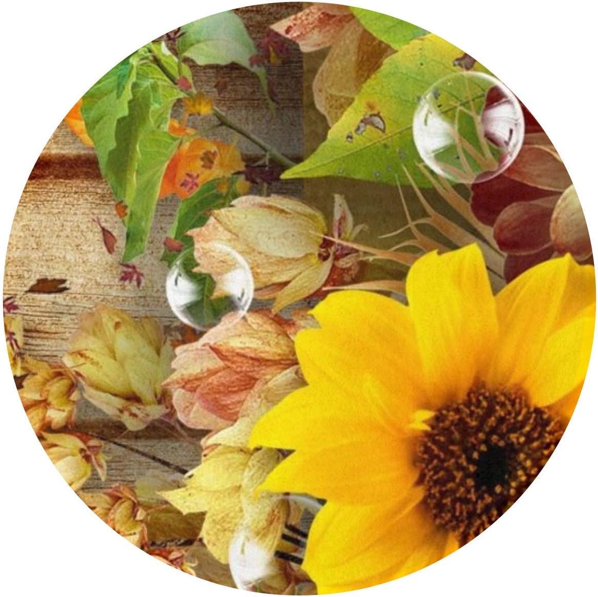 Cute Pet Dog Mat Play Mattress for Puppy and Cat Round Non