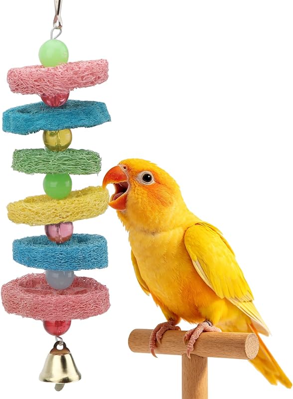 Balanço para Aves Hypeety com Bucha Vegetal Natural, Sino e Brinquedo para Roer – 28 cm