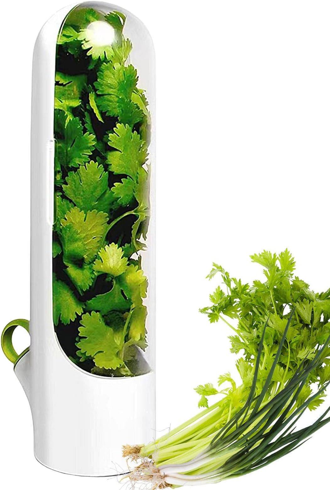 Cilantro Containers for Refrigerators - Vegetable Storage Container for Fridge,Vanilla Keep-Cup, Vegetable Preservation Bottle for Storage Cilantro, Mint, Parsley,