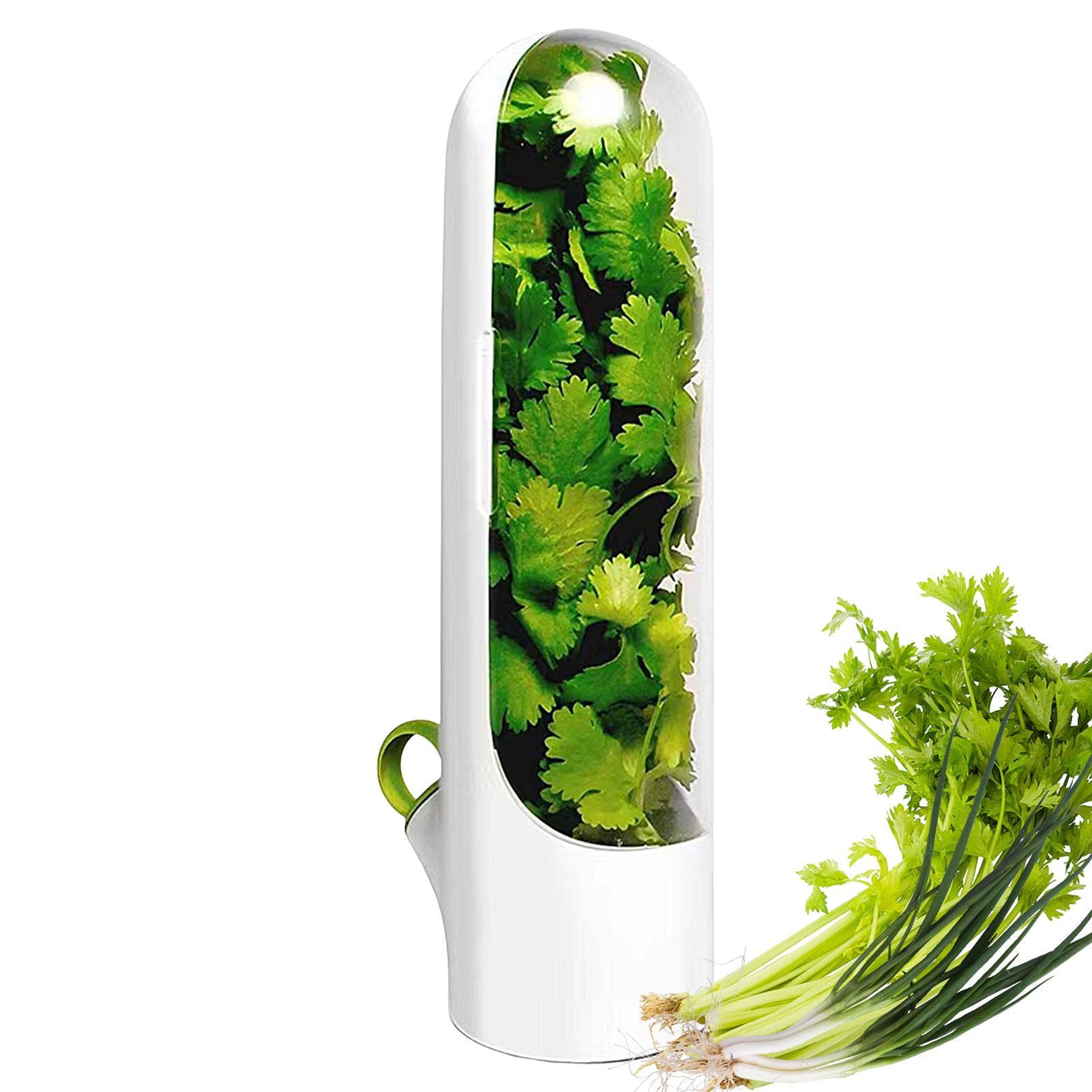 Cilantro Containers for Refrigerators - Vegetable Storage Container for Fridge,Vanilla Keep-Cup, Vegetable Preservation Bottle for Storage Cilantro, Mint, Parsley,