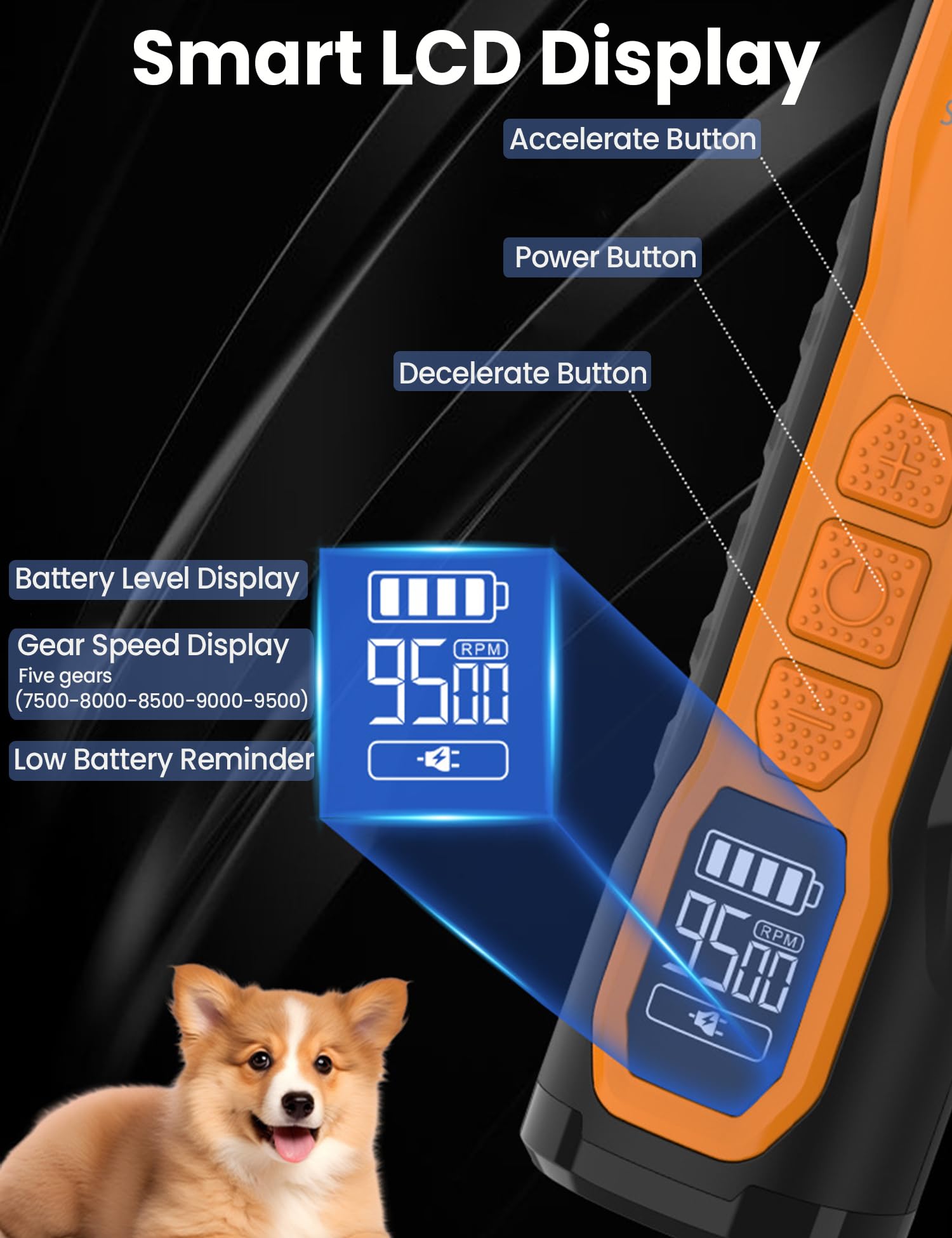 Broyeur à ongles pour chien à 5 vitesses avec écran LCD, rechargeable à faible bruit, avec double lumière LED et meule diamantée, batterie 2000 mAh pour chats de petite, moyenne et grande taille