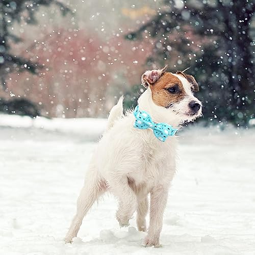 Miniatura 5 de Collar para perro, collar de perro con patrón de oso azul, lindo pajarita, collares suaves para perros con hebilla de metal para perros grandes