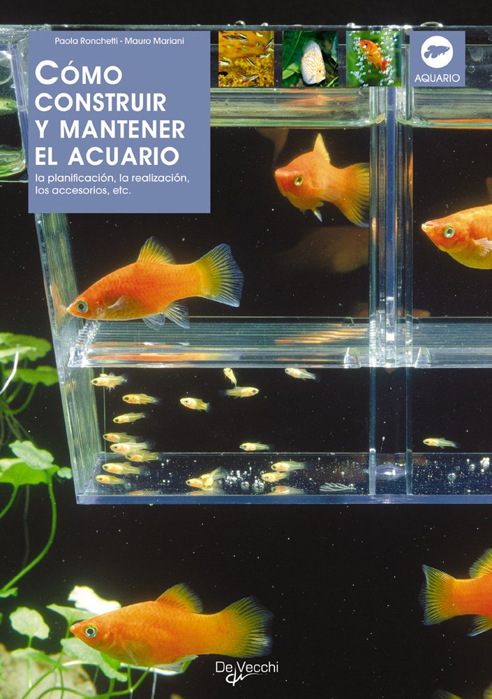 Cómo construir y mantener el acuario