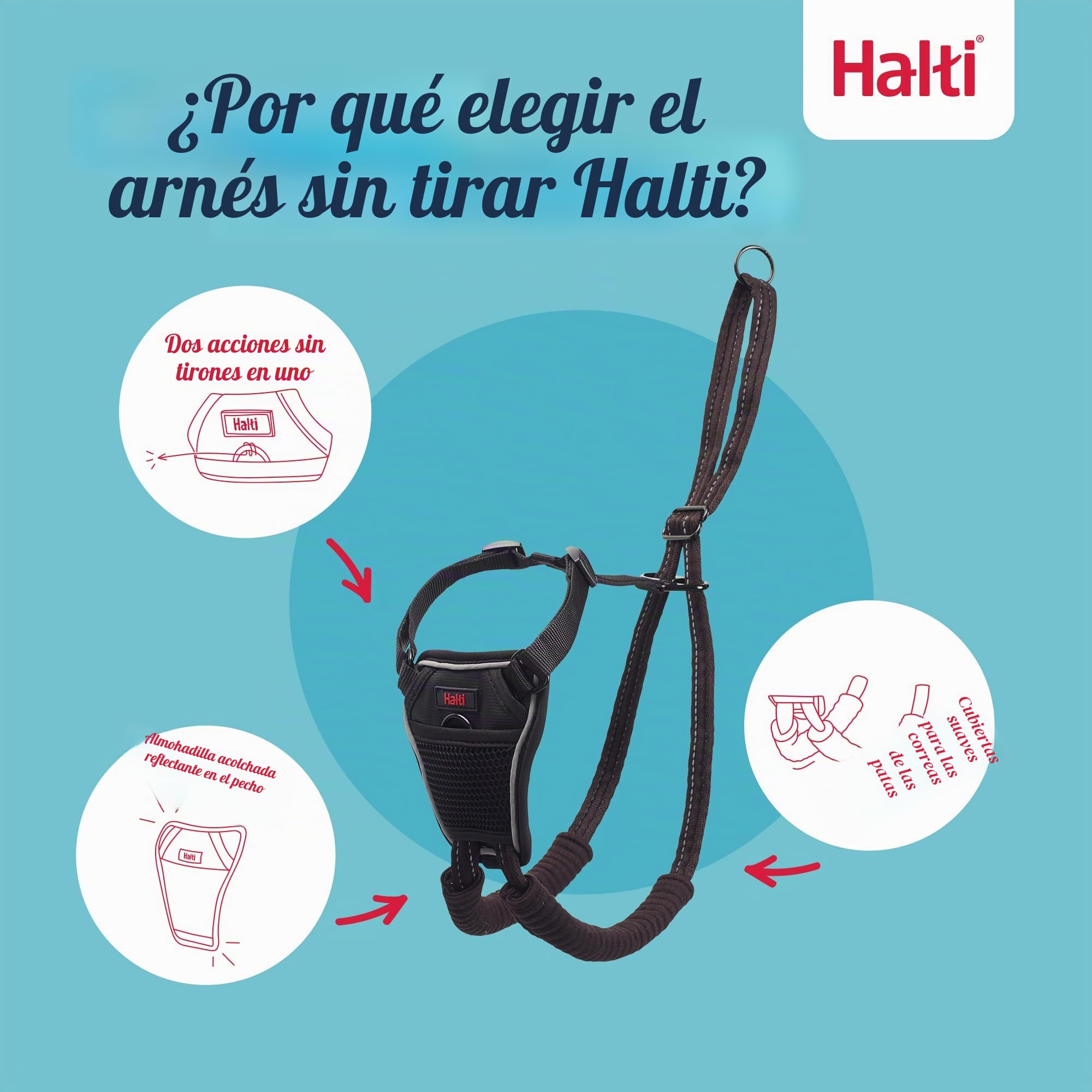 HALTI - Arnés antitirones tamaño mediano y correa de entrenamiento HALTI tamaño grande, paquete combinado negro - Evita que tu perro tire de la correa. Ajustable, ligero y fácil de usar. Adecuado para