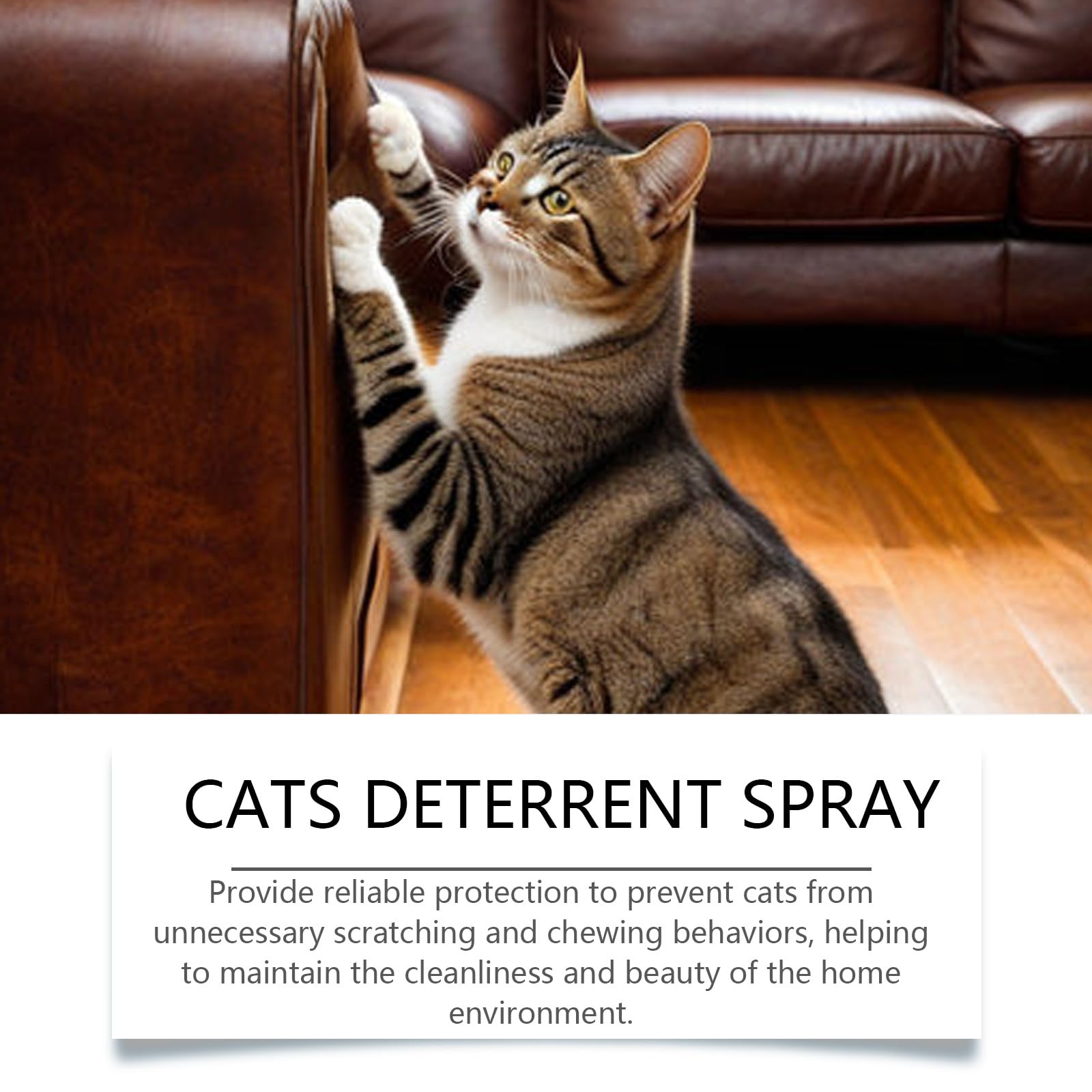 Spray Repellente per Gatti,Repellente per Gatti,Spray Antigraffio,Spray Disabituante Gatti,Spray Antigraffio per Gatti,Spray Anti Graffio Gatto,Proteggi Divano Gatti Graffi