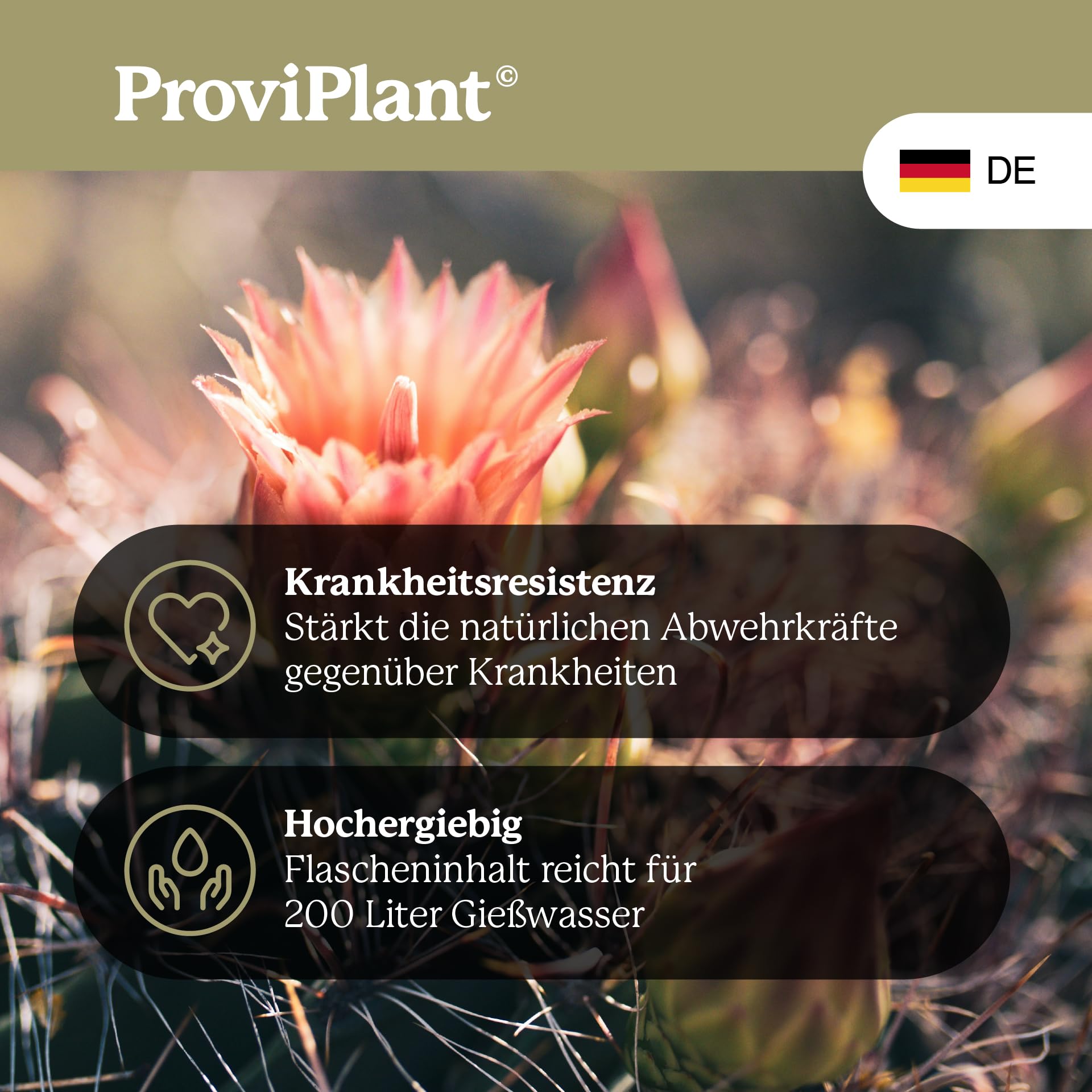 Engrais liquide pour cactus - Pour cactus, plantes succulentes et plantes séchées - 1 litre de concentré pour jusqu'à 200 litres d'eau d'arrosage - Convient pour l'intérieur et l'extérieur