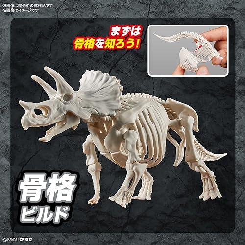 Miniatura 4 de Bandai Hobby - Plannosaurus - #02 Triceratops, kit de modelo de dinosaurio Bandai Spirits
