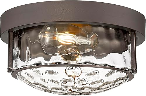 Odeums Luces de techo de montaje empotrado, lámpara de techo de 2 luces para interiores, luz interior cercana al techo, lámpara de techo de pasillo