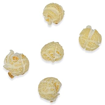 Princeton Popcorn Mushroom Hulless Kernels, 8 lb Bulk - Non-GMO | Ball-shaped tender hulless mushroom corn, farmer-direct. Easy-eating, no hulls, non-GMO. Air popper or stovetop ready.