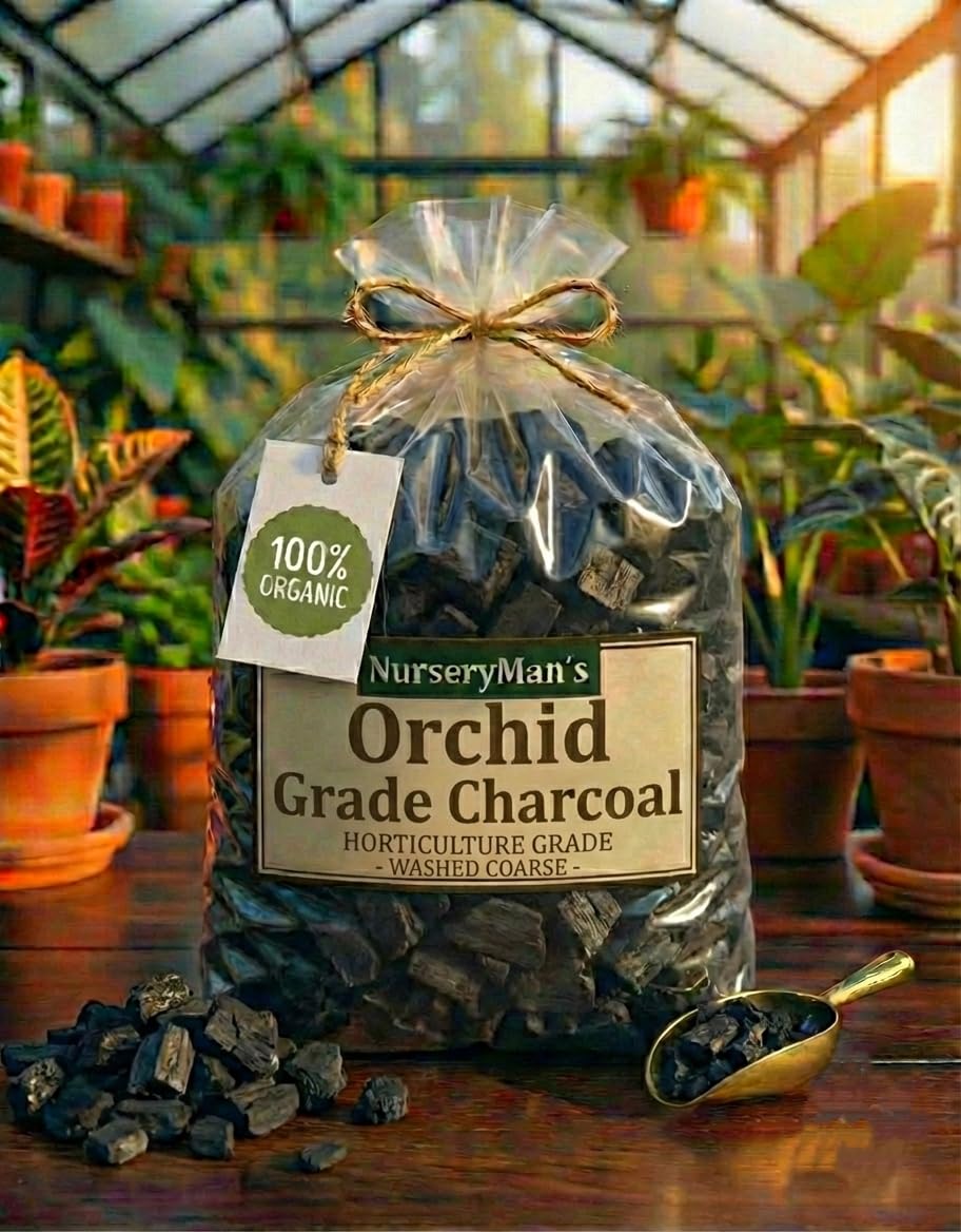 NurseryMan’s Ultra Premium Orchid Charcoal 2–3 cm Chunk Size | Hand-Graded Hardwood | Double Washed & Dust Free | pH Stabilised Growing Media for Phalaenopsis, Dendrobium & Cattleya (900 gm)