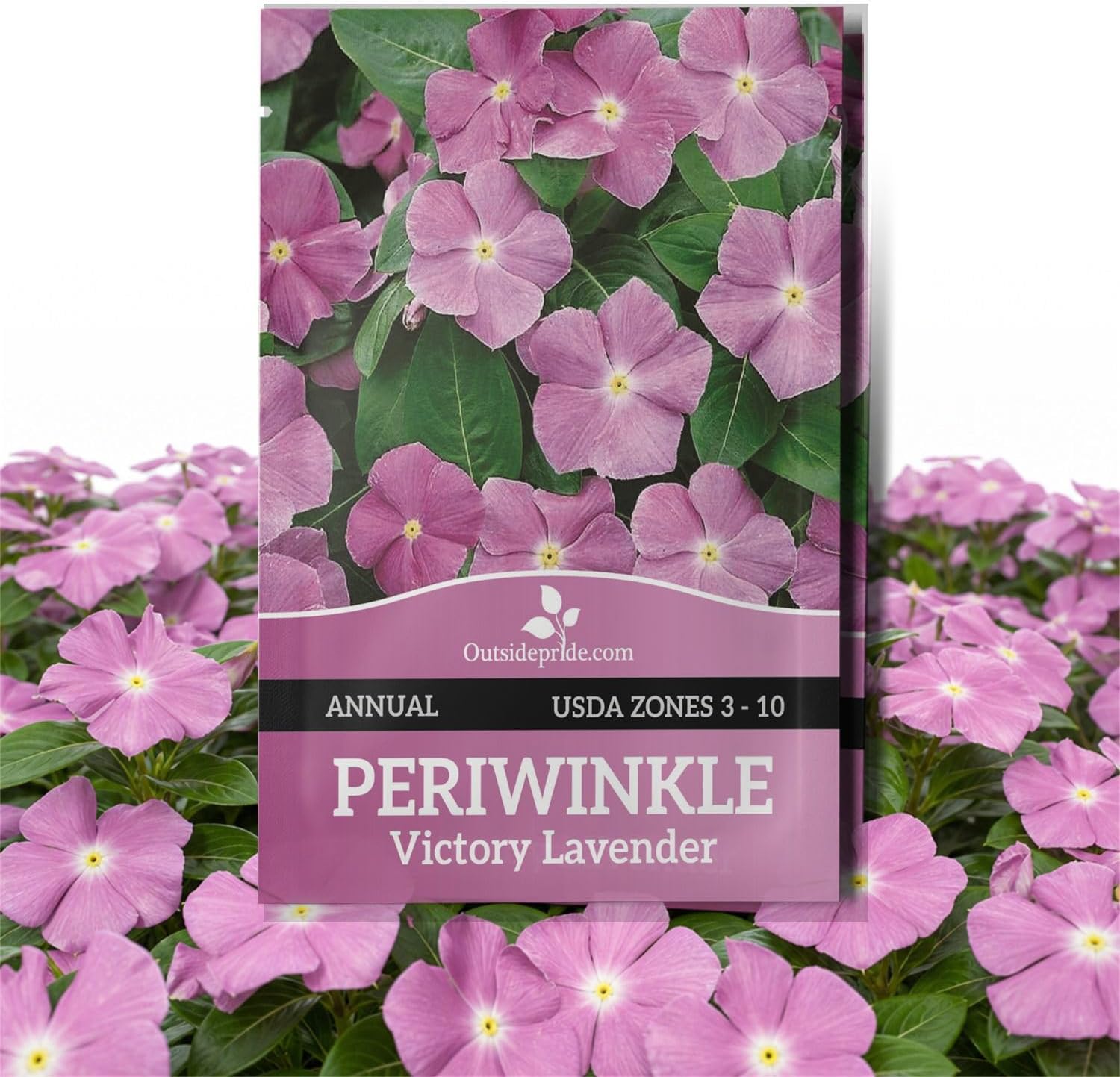 Outsidepride Lavender Periwinkle Seeds for Planting โ 100 Pcs Annual, Fast-Blooming, Heat & Drought Tolerant Vinca Flower Seeds with Vibrant Colors Ideal for Gardens, Beds, Borders & Containers