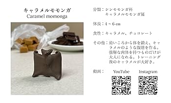 Amazon | QrazyChocolate キャラメルモモンガの兄弟 クレイジー