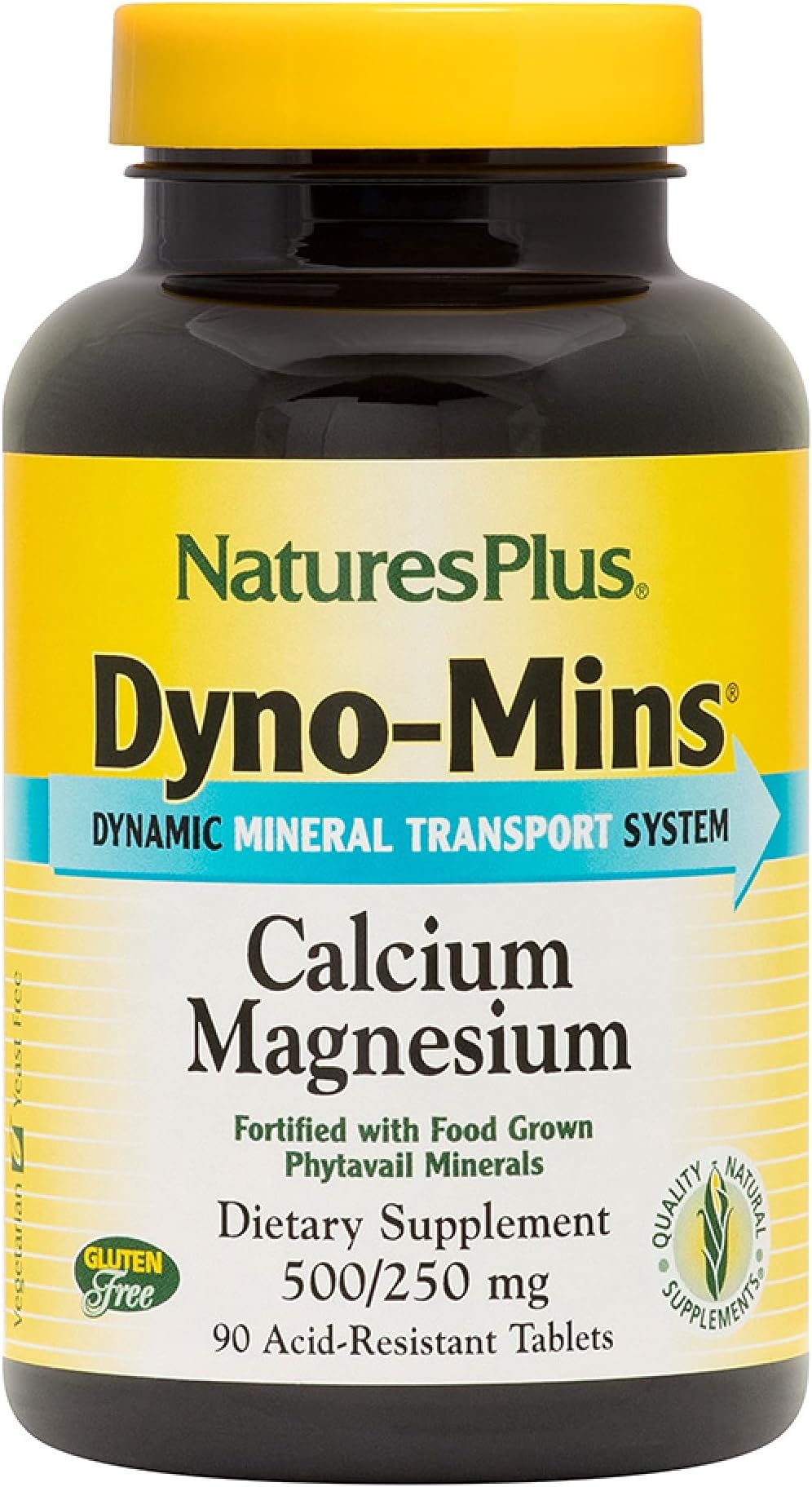 Dyno-Mins Calcium/Magnesium 500mg/250mg - 90 - Tablet