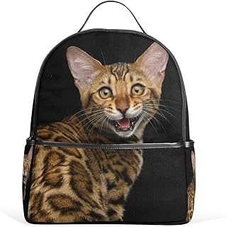suchergebnis auf amazon de fur bengal katze spielzeug