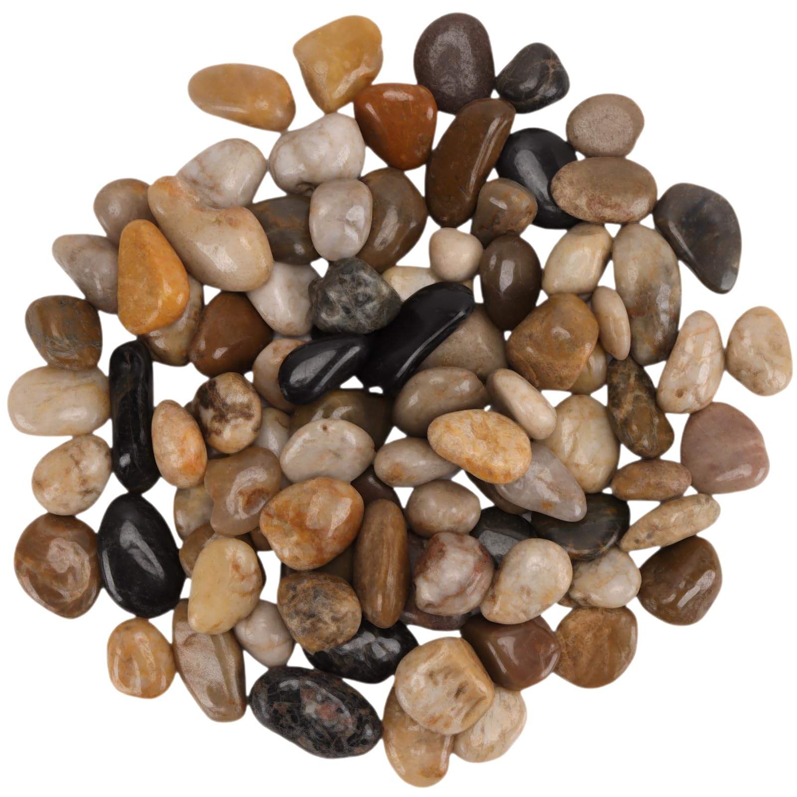5 kg di Pietre di Fiume 2-3 cm, Ciottoli Lucidati Decorativi per Piante