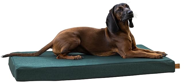 Foto 2 de 7 de Kerbl Pet Colchón de Espuma viscoelástica Oliver, para Perros con Problemas articulares, Ortopédico