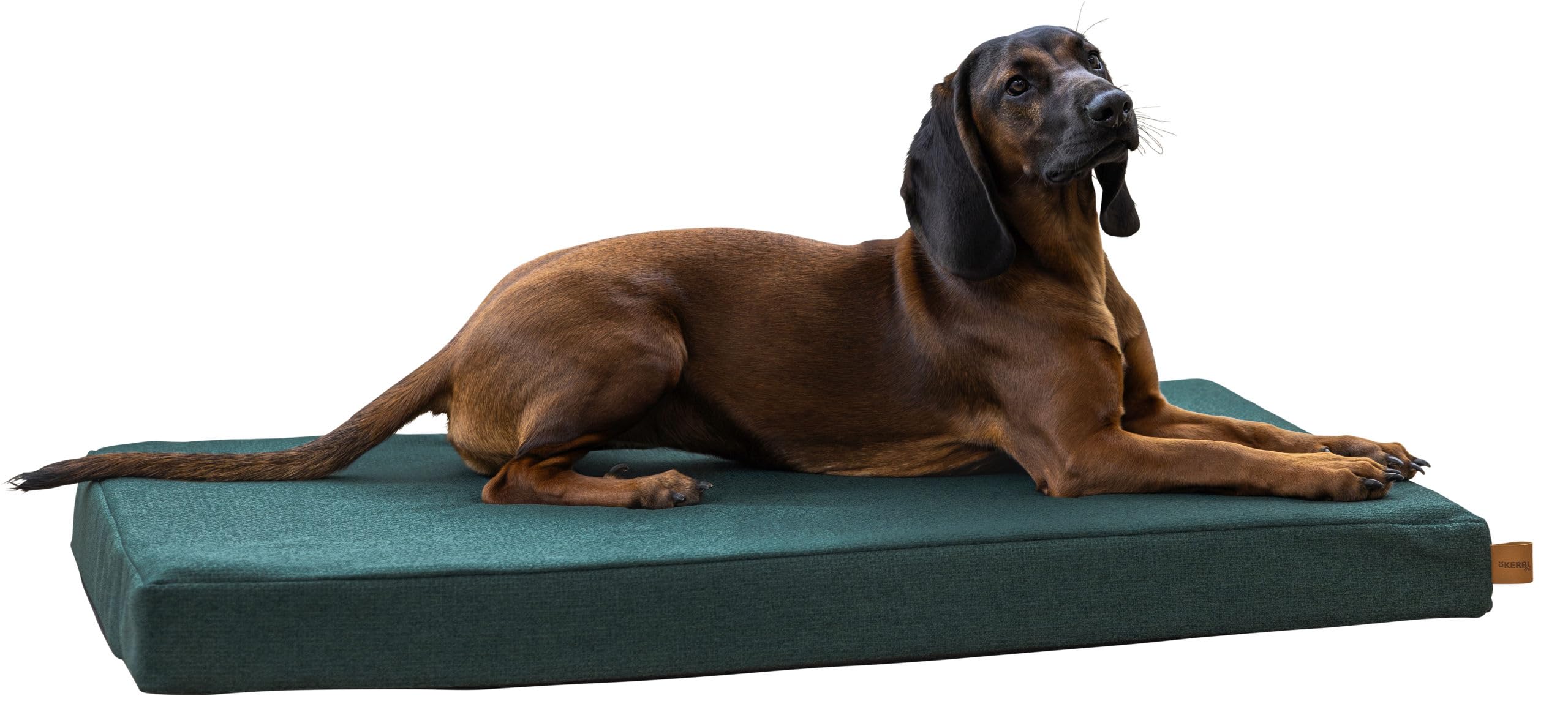 Kerbl Pet materasso in memory foam Oliver, verde inglese, 115x75x8 cm, cuccia per cani, sdraio per cani, cuscino per cani, schiuma