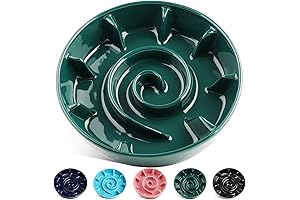 2 Cup Ceramic Slow Feeder Dog Bowl