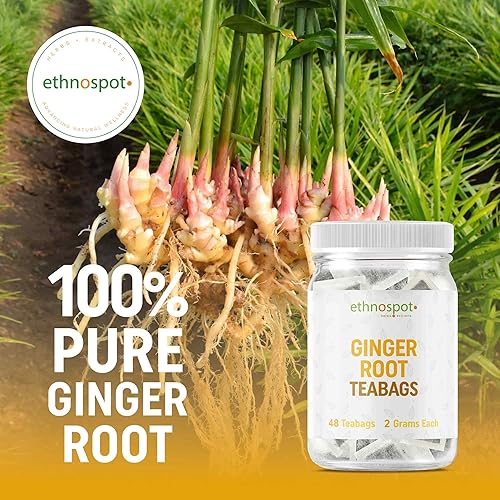 Miniatura 2 de Bolsas de té de raíz de jengibre  Té de jengibre puro  Té 100 natural para la salud intestinal  Té de ayuda antiinflamatorio para la digestión