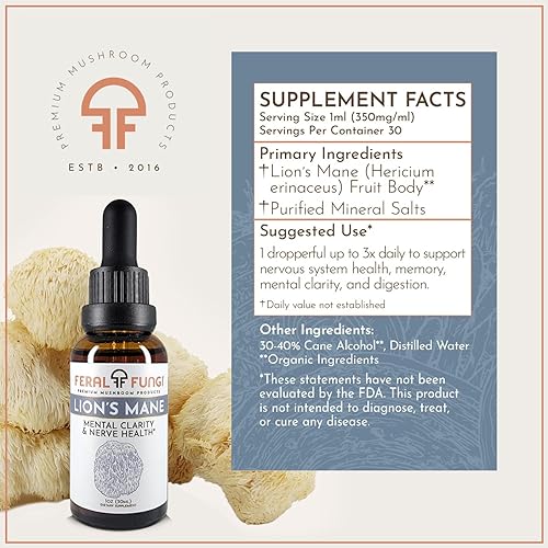 Miniatura 6 de Melena de león (Hericium erinaceus) 1 oz