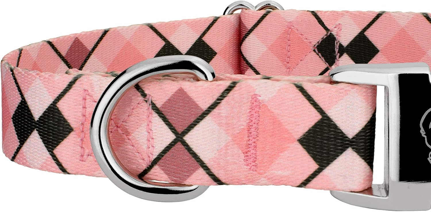Country Brook Petz - Premium Pink and Brown Argyle Collar and Leash Limited Edition - Plaid and Argyle Collection Featuring Charming Designs (1 Inch, Extra Large)