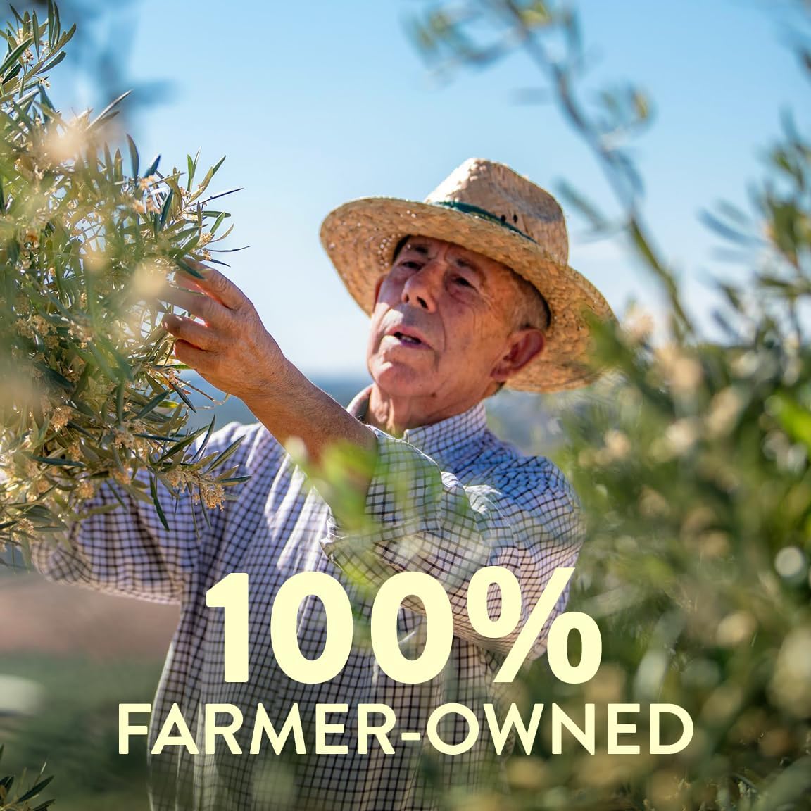 Pompeian Keto Extra Virgin Olive Oil & 100% Avocado Oil Cooking Spray, No Propellants, 5 Fl Oz, Pack of 6