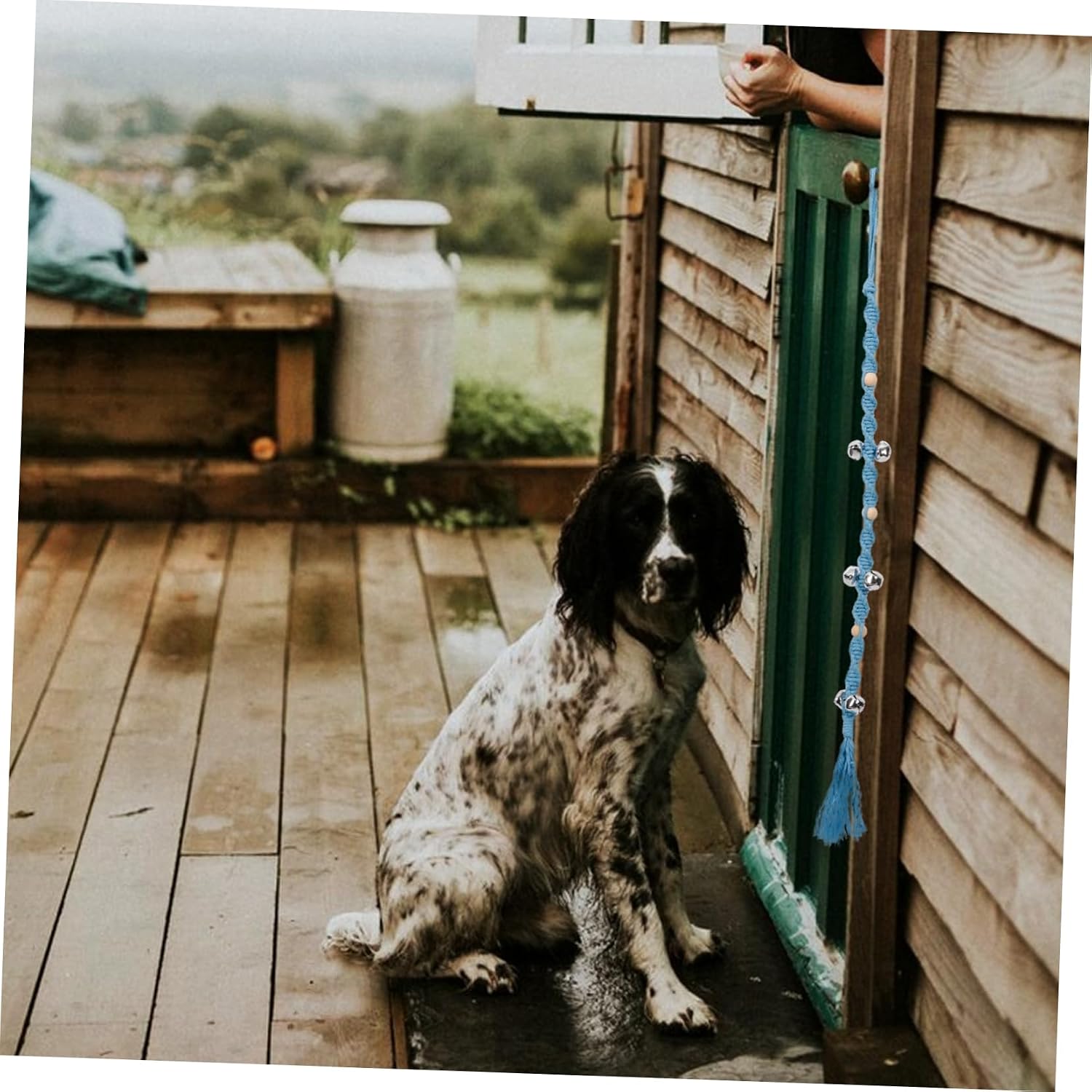 Yardwe Dog Training Doorbell Hanging Pet Doorbell with Loud Beads for Communication for Housebreaking Puppies and Dogs Easy to Use for Potty Training