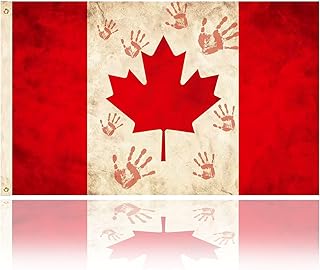 Native Canada Flag Canadian Flag 3 x 5 Ft, Orange Shirt Day Flag, Canadian Indigenous Flag, Double Stitched Polyester Flag With 2 Grommets, Canada Day Decorations, Garden Decorations Outdoor