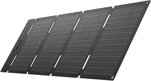 EF ECOFLOW Panel solar portátil de 45 W con tipo C, 25% de eficiencia de conversión, célula solar tipo N para centrales eléctricas, IP68