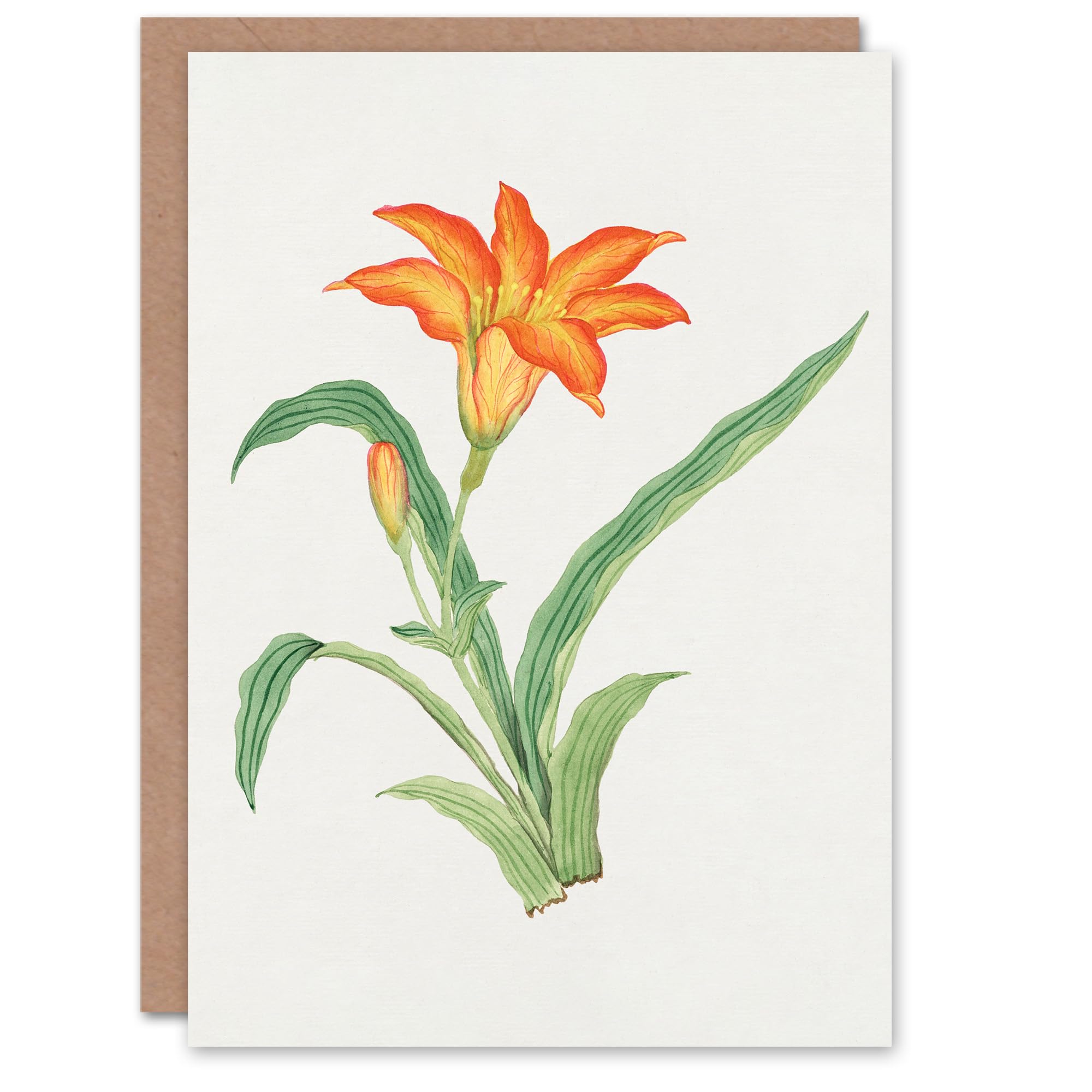 Artery8 Vintage Japanese Botanical Art Card Orange Lily Flower