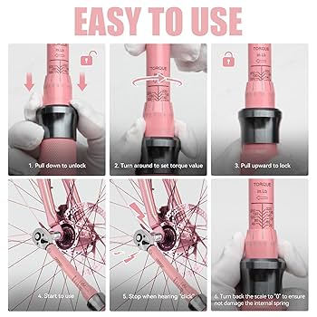 DISEN 28 PCS Pink Bike Torque Wrench Set 1/4 Drive, Gift