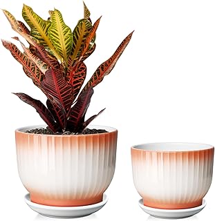6.7 + 5.5 Inch Ceramic Plant Pots,Planters with Drainage and Saucer,Indo...