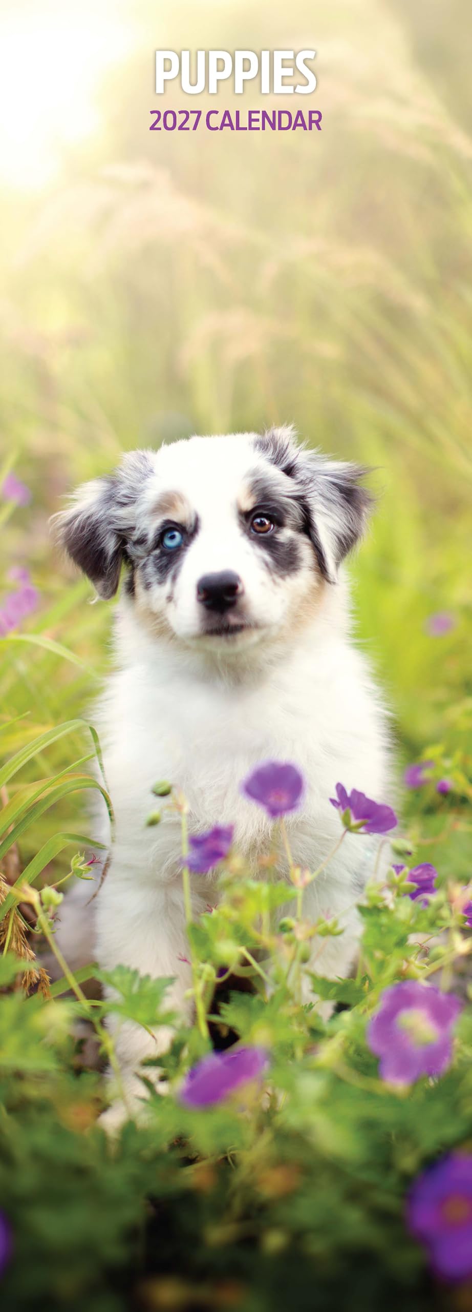 Puppies 2027 Slim Calendar
