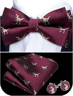 Paisley Striped Men Bow Tie Pre-Tied Formal Adjustable Colorful Bowties Handkerchief Cufflinks Set Wedding Party