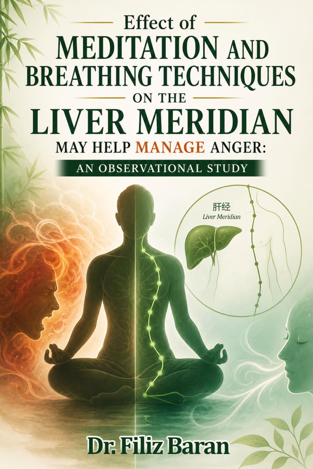 Effect of Meditation and Breathing Techniques on the Liver Meridian May Help Manage Anger: An Observational Study