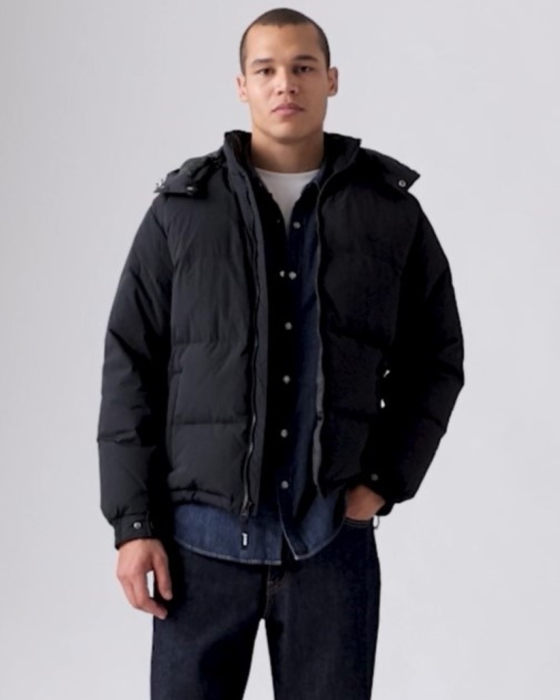 Amazon.co.jp: Levi