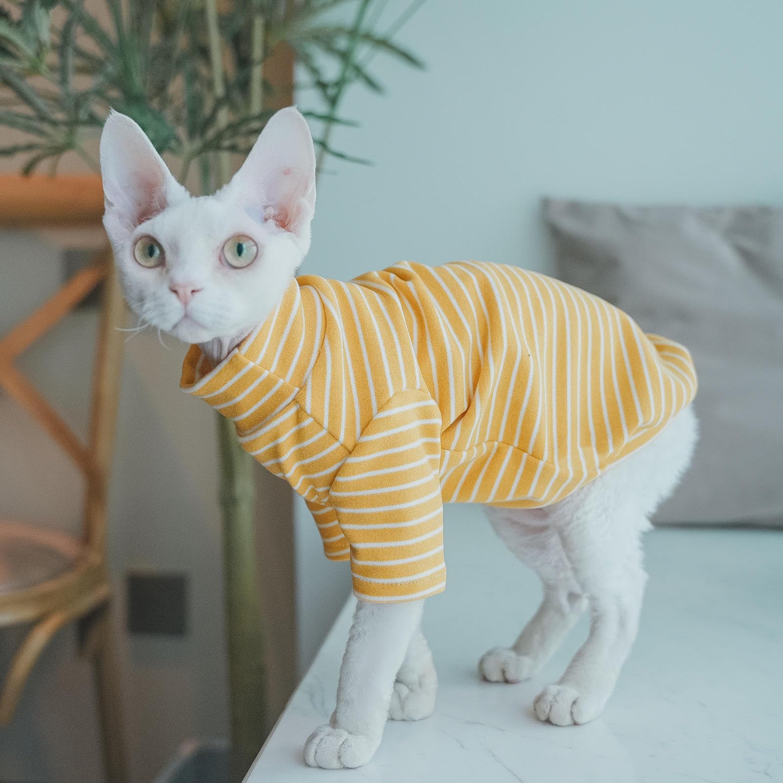 CAMO Print Cat Jumpsuit - Soft Cotton Four-Leg Pajamas For Hairless Cats (Sphynx, Devon Rex)