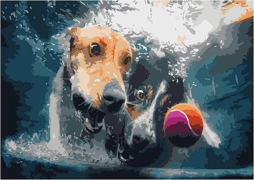 Pintura por números para adultos – Perros submarinos Artistas Serie de fotos Kit de pintura por números con pinturas acrílicas, pinceles de lienzo –
