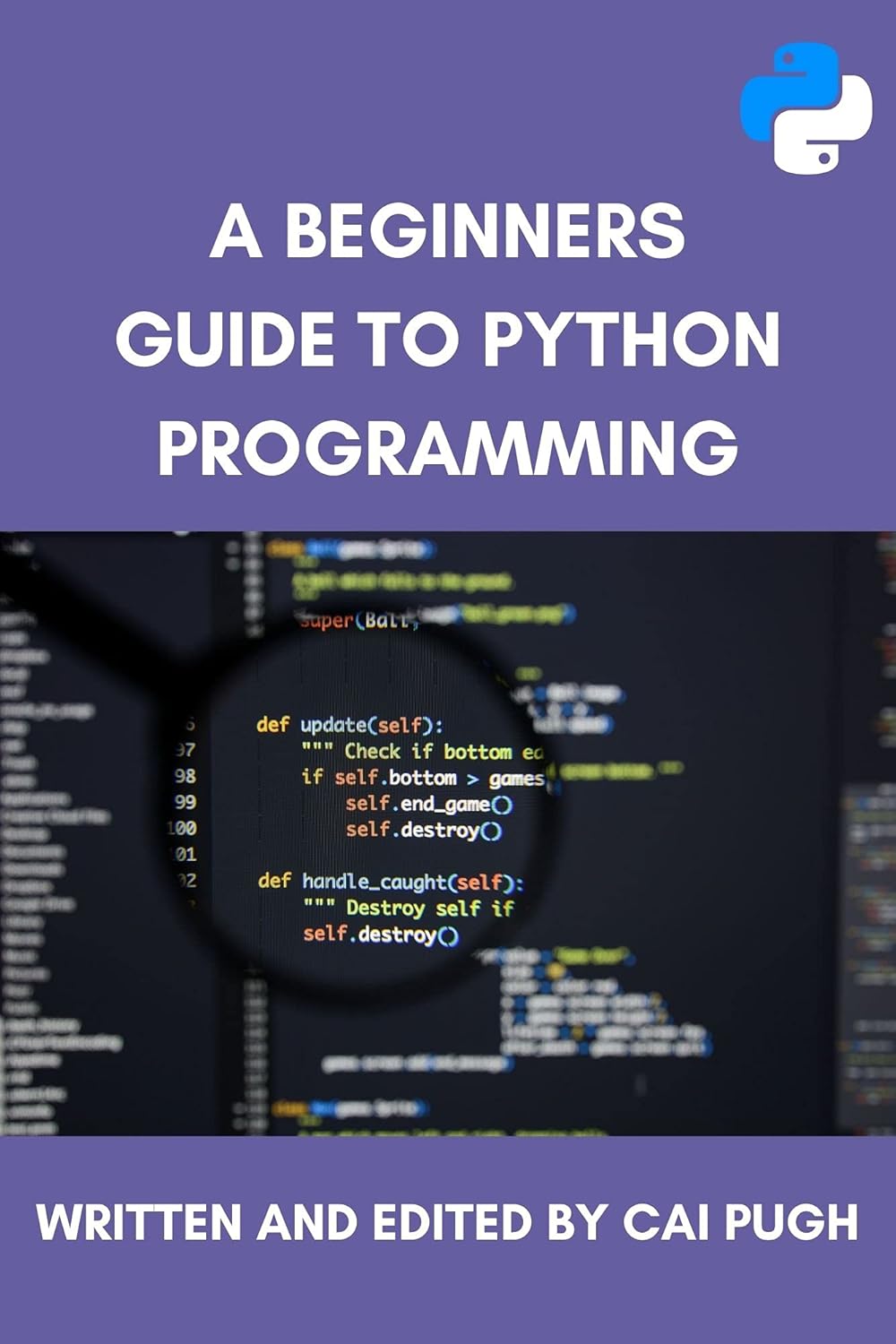 A Beginners Guide to Python Programming: The Ultimate Guide Covering ...